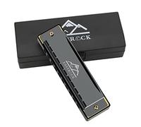 EastRock Harmonica diatonique en Do, harmonica diatonique 20 tones,10 trous pour débutant étudiants,Harmonica c avec étui chiffon de soin cadeau (10 trous, Noir)