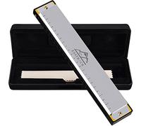 EastRock Harmonica diatonique en Do, harmonica diatonique 48 tones, 24 trous pour débutant étudiants,Harmonica c avec étui chiffon de soin cadeau (24 Trous, Argent)