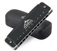 EastRock Harmonica diatonique en Do, harmonica diatonique enfants 20 tones,Dépoli Harmonica Diatonique à 10 trous pour débutant étudiants,Harmonica c avec étui chiffon de soin cadeau (10 Trous, Noir)