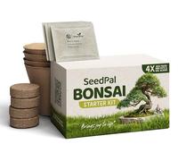 Easy Bonsai Kit - Plantes Kit de culture Bonzaï 4 graines différentes de Banzaï - Cultivez votre magnifique arbre Bonsai Plante Naturelle - Kit cadeau durable avec instructions & accessoires