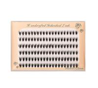 Easy Fan - C Curl 0.07 - Extensions de cils auto-déployants - 8 à 12 mm - Kit d'extension de cils DIY (30D, 8 mm, C-0.07)