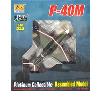 P-40m - 1:48e - Easy Model G