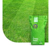 Easy Mow : Semences de gazon - 1 kg pour 50 m² - Peu d’entretien - Tolérant à la sécheresse - Forme un gazon dense et durable