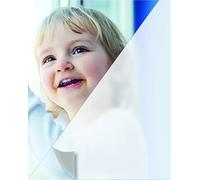 Easy PROTEC Film repositionnable pour vitrage Dépoli Givré Anti Regard 250 x 90 cm