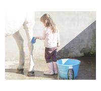 Easy Shine Grey Ravene, Chevaux Gris Transparent
