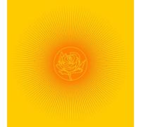 Easy Tiger [Vinyl] by Ryan Adams [VINYL] NEUF