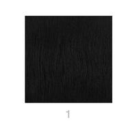 Easy Volume Tape Extensions 40 cm 1 Black