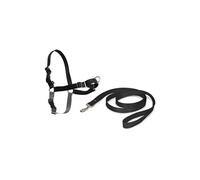PetSafe Harnais Easy Walk avec Boucle Anti-Traction et Laisse de 1,8 m, Promenade Confortable pour Vous et Lui - 4 Points de Réglage - Résistant, Facile à Mettre et enlever - Noir, Taille S
