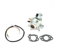 EasyByMall Carburateur de rechange pour moteur Vanguard Briggs & Stratton LT-166, 16 CV - Avec joints et connecteur de fil