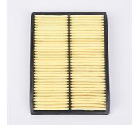 EasyByMall Filtre à air de rechange pour moteurs Honda GX610, GX620, GX670, compatible avec les références 17210-ZJ1-841, 17210-ZJ1-842, 17218-ZJ1-840