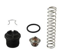 EasyByMall Régulateur thermique 77707-0010 pour chauffage piscine et spa - Construction métal-plastique, 16 x 6 x 6 cm, pièce de rechange directe