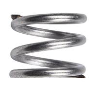 EasyByMall SPX0603S Ressort de filtre de piscine multiport pour valves Hayward Pro Series et Vari-Flo - Ressort de rechange en métal, 1 pièce