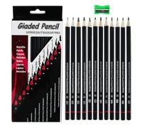 EASYKEENECOM Lot de 12 crayons à dessin hexagonaux avec taille-crayon pour artistes et débutants Noir Graphite Hexagonal Tilleul 0,5 mm