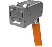 Easylan CKWAK007 fixLink® SL RJ45 Keystone blindé Cat.6A (ISO/IEC) AWG 24-22 coudé (quantité : 24 pièces par unité de commande)