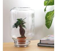 Easyplant - baby plante sous verre