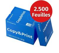 Easyprint Papier pour imprimante et photocopieur 2500 feuilles 5 x 500 A4 blanc premium