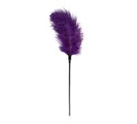 Easytoys Fetish - Fouet à plumes violet