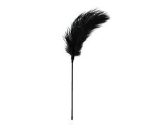 EasyToys Fouet à Plumes Noir