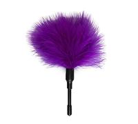 EasyToys Petit Plumeau Violet