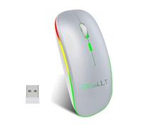 EasyULT Bluetooth Souris sans Fil, 2.4G Rechargeable Souris Silencieuse, Deux Modes(BT 5.1+2.4G USB-Nano), DPI 800/1200/1600 Réglable Compatible avec Windows7/8/10/XP, Mac iOS(Argent)