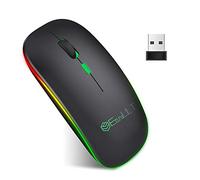 EasyULT Bluetooth Souris sans Fil, 2.4G Rechargeable Souris Silencieuse, Deux Modes(BT 5.1+2.4G USB-Nano), DPI 800/1200/1600 Réglable Compatible avec Windows7/8/10/XP, Mac iOS(Noir)