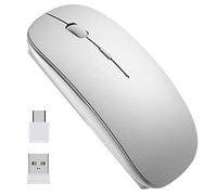 EasyULT Souris sans Fil Rechargeable, Mini Souris Optique Click Wireless Mouse, USB Nano-Récepteur, Ultra Mince 1600 DPI, avec USB câble, pour PC/Tablet/Laptop(Argent)