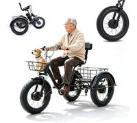 EaThsalL Tricycle électrique 20 E pour adultes, pliable, hauteur réglable, capacité de charge de 150 kg, pour courses avec panier, shopping pour personnes âgées