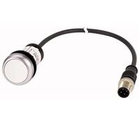 Eaton 181635 Bouton, Classic, plat, tasted, 1 S, blanc, câble (Noir) avec M12 a Prise, 4 broches, 0,5 m