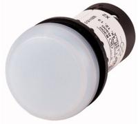 Eaton C22-L-W-120 Voyant lumineux plat blanc 120 V/AC 1 pc(s) Piece