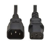 Tripp Lite Series - Câble d'alimentation - IEC 60320 C14 pour power IEC 60320 C13 - 250 V - 10 A - 1 m - noir - Europe