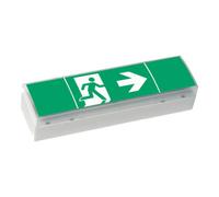 CEAG 40071354776 Eclairage LED dissue de secours montage au plafond, montage avec chaînes, montage au mur en porte-à-faux gauche, droite, en bas
