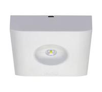 Eaton Eaton Lampe de sécurité GuideLedSL13022.2CGS 4000K carrée Quantité:1
