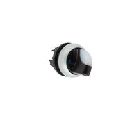 Illuminated selector switch actuator, RMQ-Titan, W