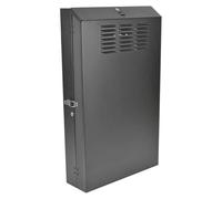 Eaton Tripp Lite Series 4U Wall Mount Low Profile Rack Enclosure Cabinet 36" Deep - Rack armoire - montable sur mur - noir - 4U - 19