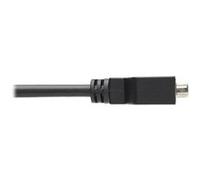 Eaton Tripp Lite Series DisplayPort to DVI-I Adapter Cable (M/F), 6 in. (15.2 cm) - Carte d'écran - DisplayPort (M) pour DVI-I (F) - 15 cm - moulé G