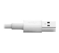 Eaton Tripp Lite Series USB-A to Lightning Sync/Charge Cable (M/M) - MFi Certified, White, 6 ft. (1.8 m) - Câble de données /d'alimentation - USB mâle pour Lightning mâle - 1.83 m - blanc - pour P/N:
