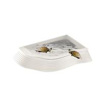 eau - bol de bain non frites avec un design facile d'accès, piscine de reptiles multifonctionnelle | Pot de bain pour usage terrarium, récipient d'eau p