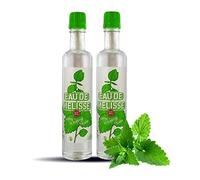 Eau De Mélisse De Carmes Boyer 100 ml LOT De 2