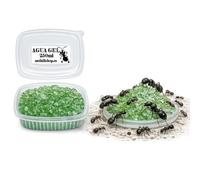Eau gel Green Hydratation pour fourmis, insectes et plantes