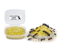 Eau gel jaune hydratation pour fourmis, insectes et plantes
