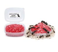 Eau gel rouge hydratation pour fourmis, insectes et plantes