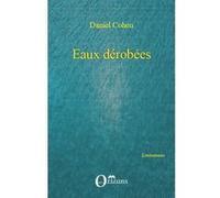 Eaux dérobées Daniel Cohen (Auteur)