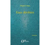 Eaux dérobées - Daniel Cohen - Orizons - broché - Roman