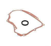 Eawfgtuw Carter moteur 40g777 et accompagné des modèles de moteur 40f777 ket Along 697227 795387 690945 avec ensemble de joints Ket, compatible 791892 40h777 remplace 594195