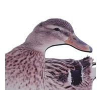 Eawfgtuw Décoration destinée au jardin pour un canard durable et résistant aux intempéries. Configuration double face pour une décoration idéale, y compris réaliste pour la cour et la pelouse en