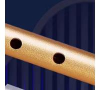 Eawfgtuw Sifflet irlandais à 6 trous avec clé C/D, métal pour flûte à vent pour musique à vent, compatible avec les instruments folkloriques traditionnels, options ABS doré/argenté/noir (D)