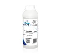 EBAN - pH Plus Piscine, Régulateur du pH de l’Eau, Balancer, Liquide, 1 l | Régulateur de pH pour augmenter une valeur trop basse dans l’eau de piscine, destiné à l’entretien de différents bassins