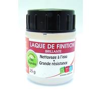 Graine créative Laque de finition pour modelage 25 g Multicolore G