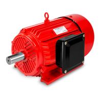 EBERTH Moteur Électrique 400V avec Puissance 5,5 kW, 2900 tr/min, 11 A