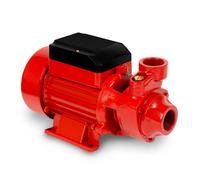 EBERTH Pompe de jardin raccord 1 pouce 750 W débit 2 400 l/h